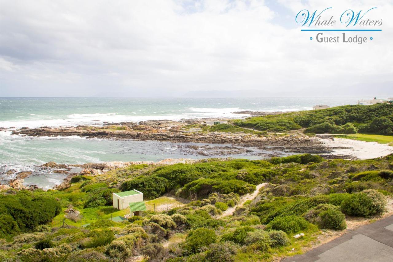 Whale Waters Self Catering Gansbaai Daire De Kelders Dış mekan fotoğraf